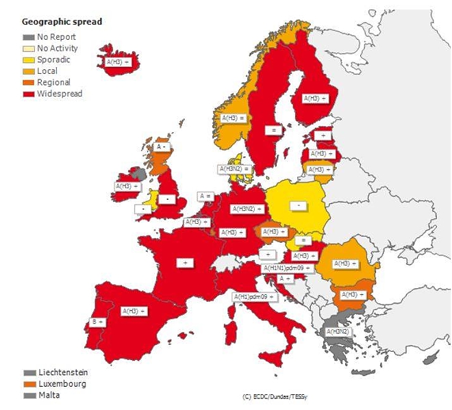 influenza_europa.jpg