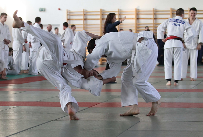 rendor_judo_150219ml_6.jpg