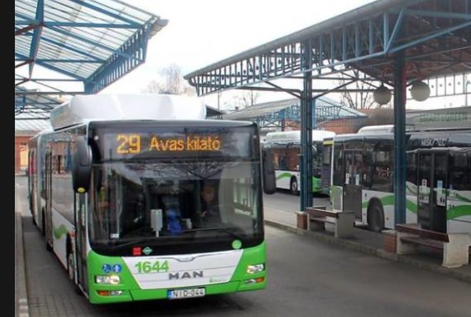 mvkbusz1.jpg