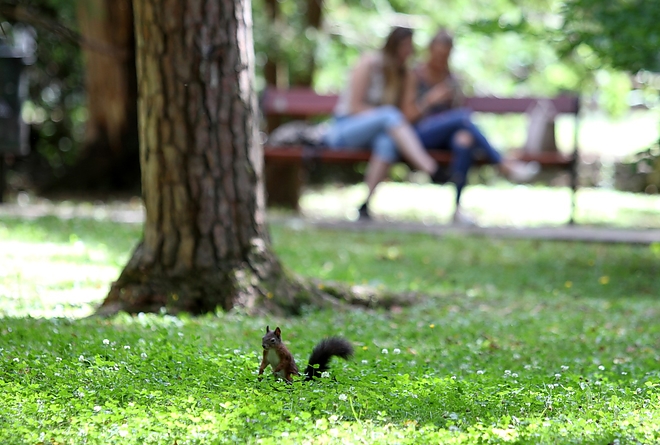 tapolca_park_170726_ja_29.jpg