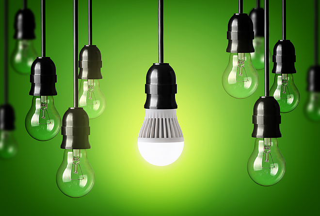 new-bulbs-image.jpg