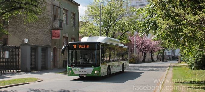 mvk_busz_11es.jpg